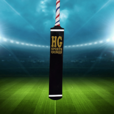 Rawlakot Cricket bat tape ball HG Sports