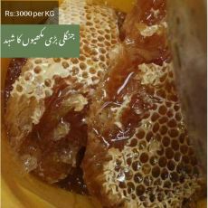 Jungli Bari Makhi Shehad/ Honey