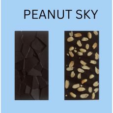 Dark Chocolate Roasted Peanut Bar