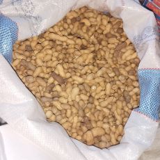Peanut / Moompali 